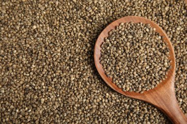 Tahta kaşık ve kenevir tohumları, üst manzara. Metin için boşluk