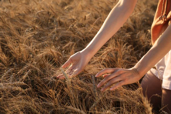 Žena Poli Zralých Pšeničných Bodlin Detailní Záběr — Stock fotografie