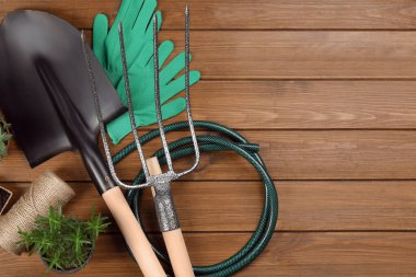 Ahşap zemin üzerinde bahçe aletleri ve bitkiler ile düz kompozisyon yatıyordu. Metin için boşluk