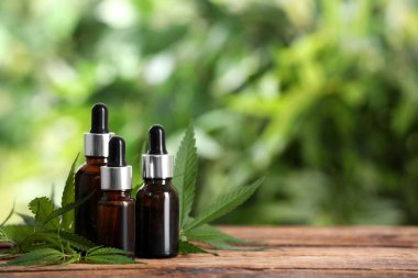 Kenevir yaprağı, CBD yağı şişeleri ve ahşap masada THC tentürü. Metin için boşluk