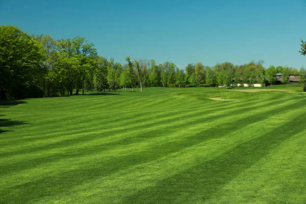 Pittoresk Utsikt Över Golfbanan Med Färskt Grönt Gräs Och Träd — Stockfoto