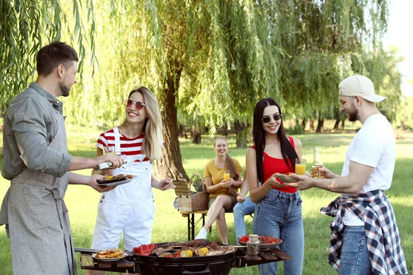 Gruppo Amici Che Fanno Festa Barbecue Nel Parco — Foto Stock