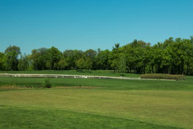 Taze yeşil çimenler ve ağaçlarla dolu golf sahasının manzarası.
