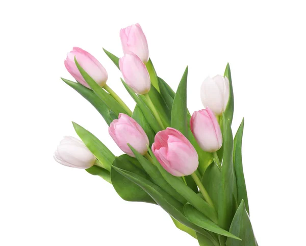 Beautiful Bouquet Tulips Isolated White — Stock Photo, Image