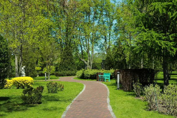 Vista Pitoresca Belo Parque Com Grama Verde Fresca Árvores — Fotografia de Stock