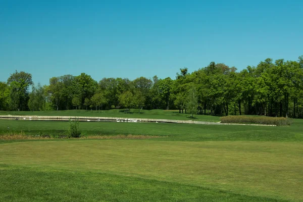 Pittoresk Utsikt Över Golfbanan Med Färskt Grönt Gräs Och Träd — Stockfoto