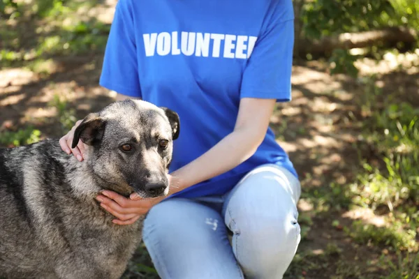 Hayvan Barınağında Evsiz Köpekli Gönüllü Yakın Plan — Stok fotoğraf