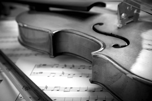 Bellissimi Fogli Violino Fiocco Note Primo Piano Tono Bianco Nero — Foto Stock