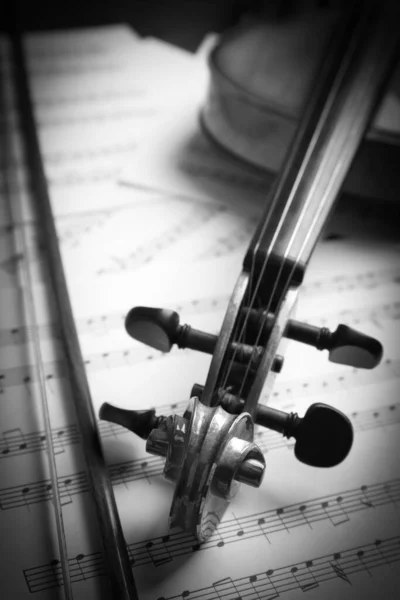 Classic violin, bow on note sheets, closeup. Black and white tone