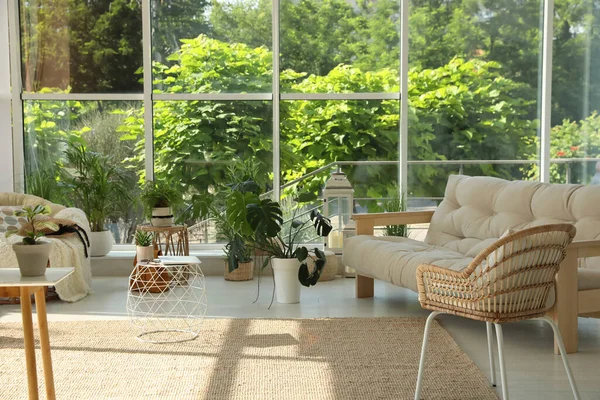 快適な家具や観葉植物と屋内テラスのインテリア — ストック写真