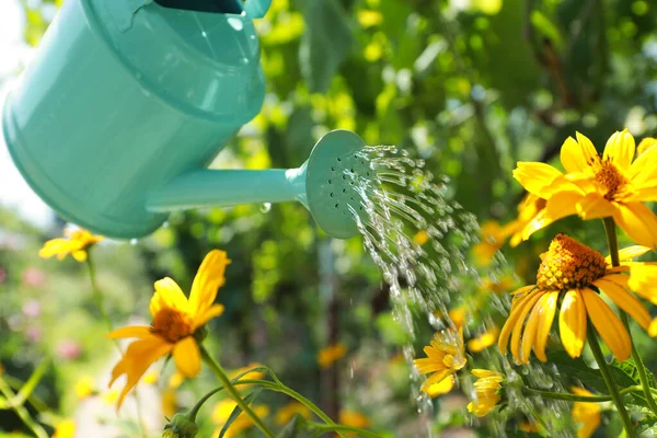 Wasser Aus Der Gießkanne Auf Blumen Schönen Garten Streuen Nahaufnahme — Stockfoto