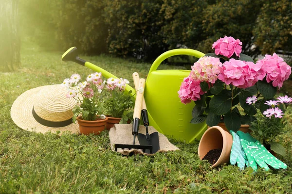 아름다운 정원의 옥외푸른 액세서리 — 스톡 사진