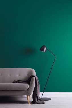 Rahat kanepe ve zemin lambası olan şık bir oturma odası.