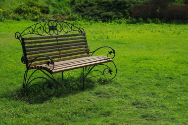 Güneşli bir günde parkta güzel bir ahşap bank.