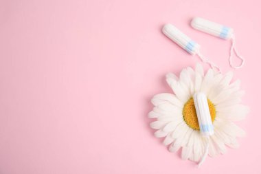 Açık pembe arka planda tampon ve papatya çayı düz yerde. Metin için boşluk