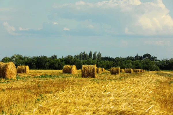 Krásný Výhled Zemědělské Pole Balíky Sena — Stock fotografie