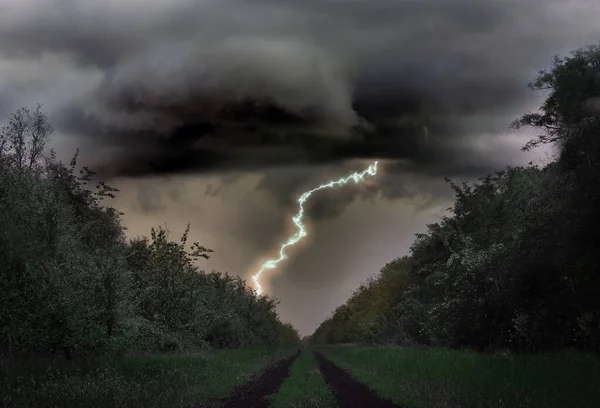 Cielo Nublado Oscuro Con Rayos Que Golpean Los Árboles Tormenta — Foto de Stock