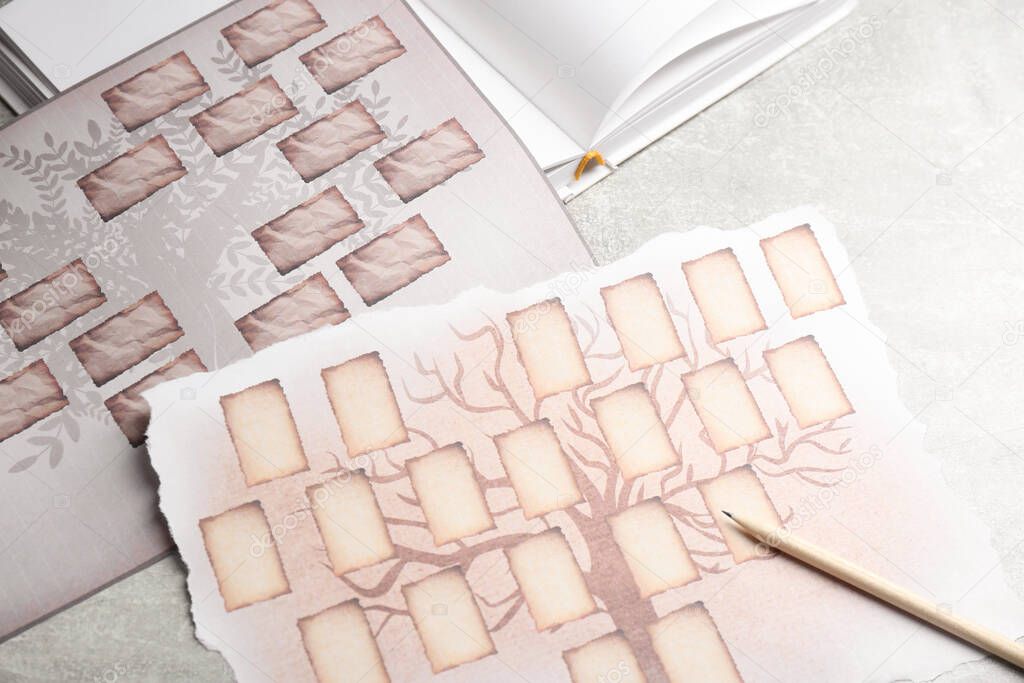 Blank family tree charts, notebook and pencil on grey table, closeup