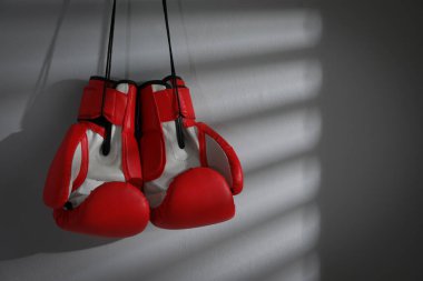 Işık duvarında asılı bir çift kırmızı boks eldiveni, metin için boşluk