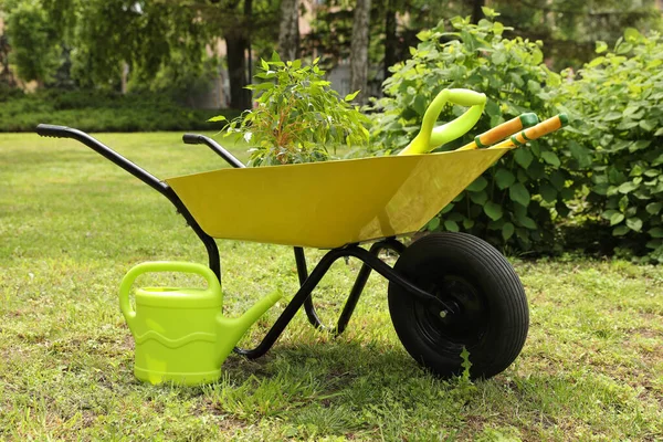 Wheelbarrow Other Gardening Tools Park Sunny Day — Stock Photo, Image