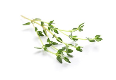 Beyaz arka planda akromatik kekik filizi. Taze bitki.