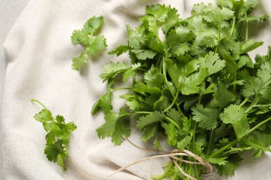 Beyaz kumaşta sicim olan taze yeşil kişniş, düz.