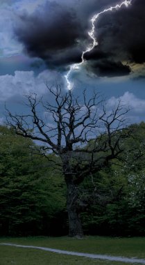 Yıldırım çarpan ağacı olan karanlık bulutlu bir gökyüzü. Gök gürültülü