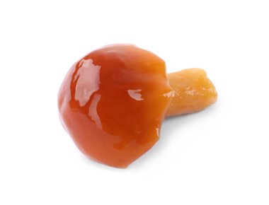 Lezzetli salamura edilmiş bal mantarı.