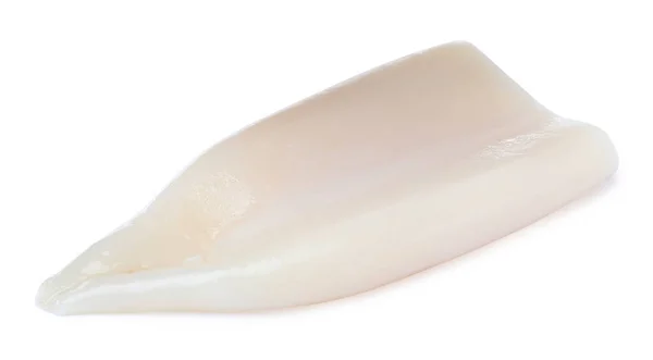 Raw Squid Tube Isolated White Fresh Seafood — Stock Photo, Image