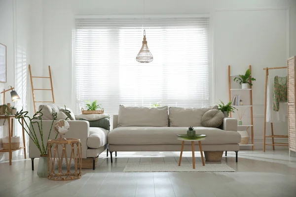 Stylish Living Room Interior Comfortable Grey Sofa Plants — Stock Photo, Image