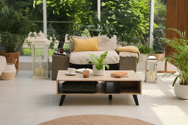 Inomhus Terrass Interiör Med Moderna Möbler Och Krukväxter — Stockfoto