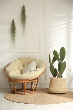 Stylish room with beautiful potted cactus and papasan chair. Interior design clipart