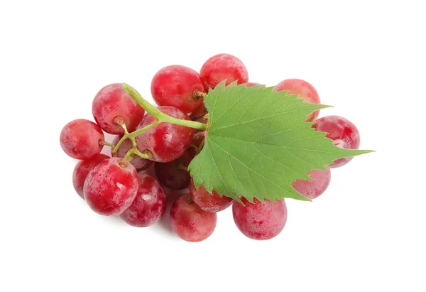 Klaster Dojrzałych Czerwonych Winogron Zielonym Liściem Białym Tle Widok Góry — Zdjęcie stockowe