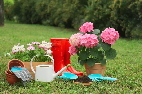 Belles Plantes Fleurs Outils Jardinage Accessoires Sur Herbe Verte Extérieur — Photo