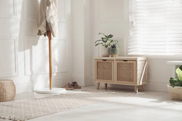 Stijlvol Interieur Met Houten Ladekast Groene Planten — Stockfoto