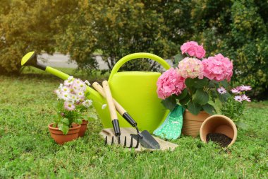 Beautiful blooming plants, gardening tools and accessories on green grass outdoors clipart