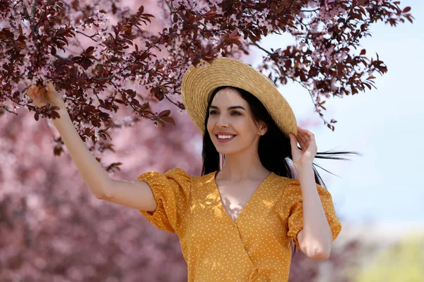 Mujer Joven Bonita Con Sombrero Paja Cerca Hermosos Árboles Flor —  Fotos de Stock