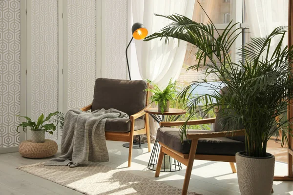 スタイリッシュな家具や観葉植物と屋内テラスのインテリア — ストック写真