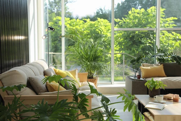 Interior Terraza Interior Con Muebles Modernos Plantas Interior —  Fotos de Stock
