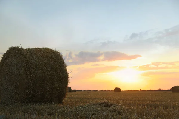 Krásný Výhled Zemědělské Pole Balíkem Sena Při Západu Slunce — Stock fotografie