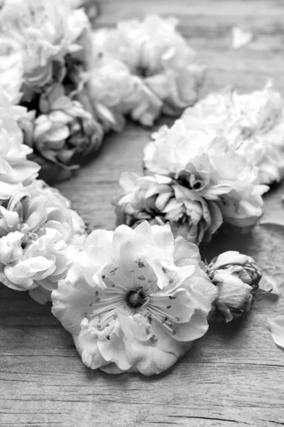 木製の背景に美しい桜の木の花を閉じます 黒と白のトーン — ストック写真
