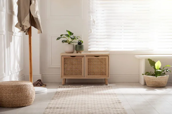 Elegante Quarto Interior Com Caixa Madeira Gavetas Plantas Verdes — Fotografia de Stock