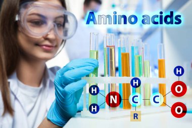 Amino Acids kimyasal formülü, illüstrasyon. Bilimadamı laboratuvarda test tüpünü raftan alıyor. 