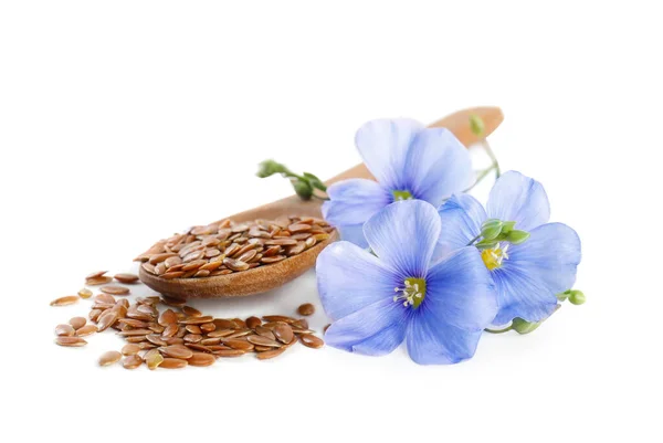 Flax Flowers Seeds White Background — Stock Photo, Image