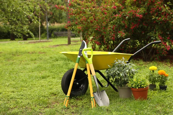 Wheelbarrow Other Gardening Tools Park Sunny Day — Stock Photo, Image