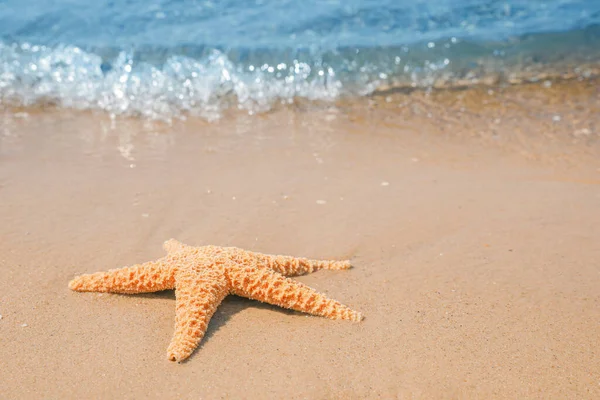 Starfish Tropical Sandy Beach Space Text — Stock Photo, Image