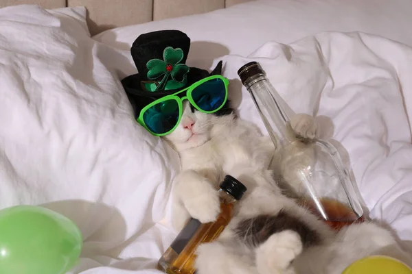 Słodki Kot Noszący Kapelusz Krasnoludka Okulary Przeciwsłoneczne Butelkami Whisky Łóżku — Zdjęcie stockowe
