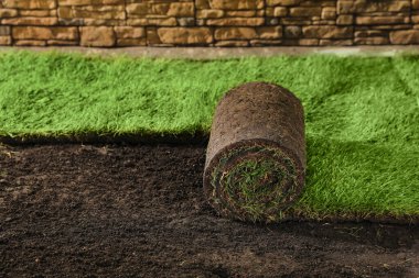 Arka bahçeye çimen sermek. Ev dekorasyonu.