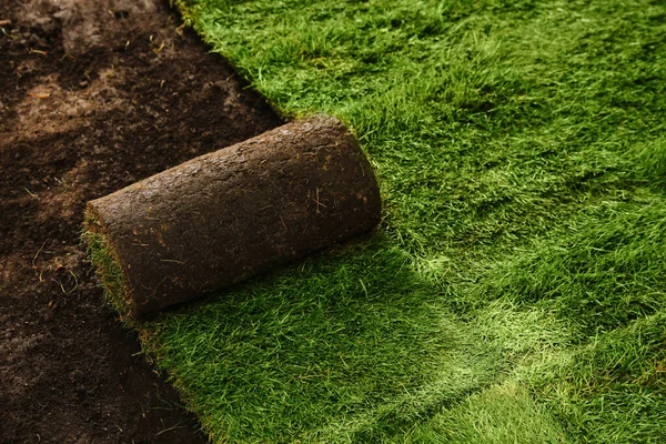 Laying Grass Sods Backyard Home Landscaping — Stock Photo, Image