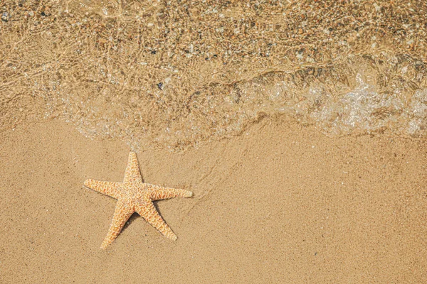 Starfish Tropical Sandy Beach Top View Space Text — Stock Photo, Image